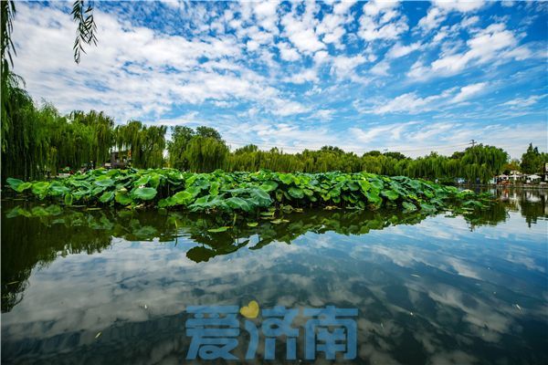 “齐风鲁韵 岱青海蓝”原创歌曲《大美山东》今日正式发布