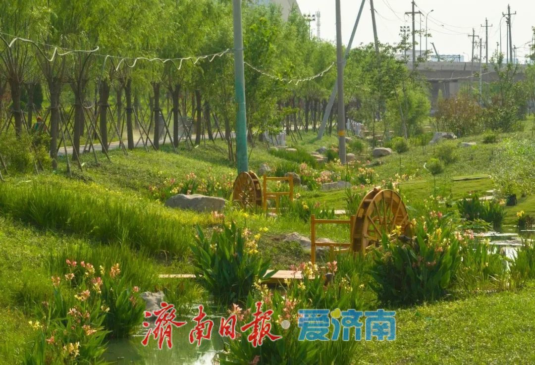 7月3日起，济南白泉生态保护项目对市民免费开放