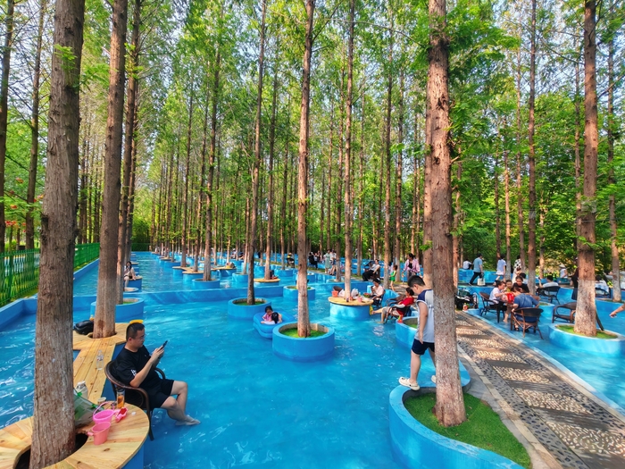 体感温度较市区低5—6℃！济南这里添了个“杉林水乐园”