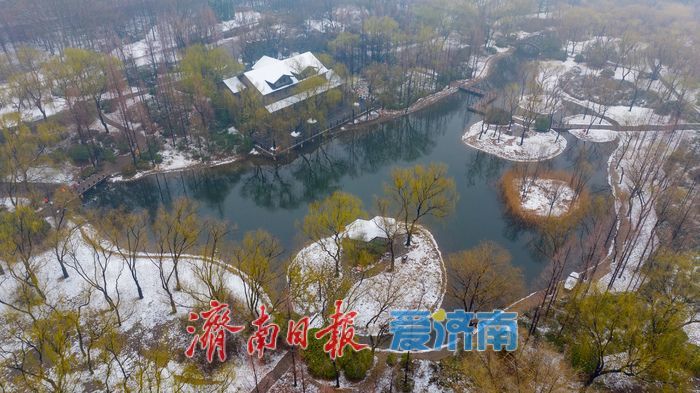 节后春雪添雅韵 济南森林公园解锁冬春交融新景致