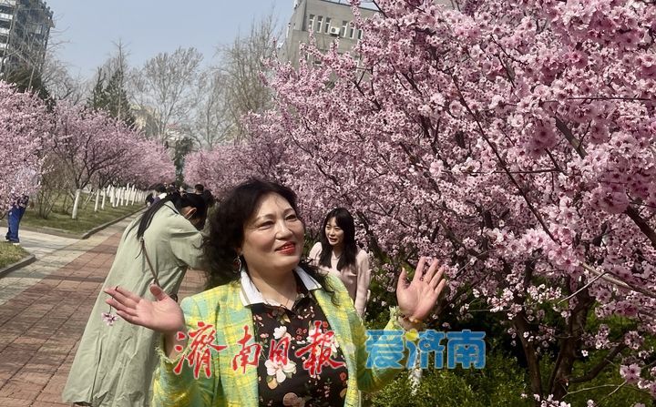 高校校园春意浓 花海引客醉其中