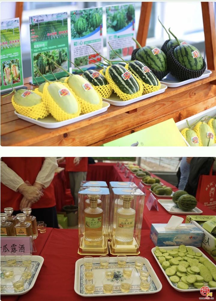 一年四季 泉在济南｜甜蜜赴大集 瓜香醉泉城