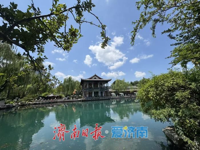 碧空如洗映龙潭 泉水绿树绘就泉城夏日画卷