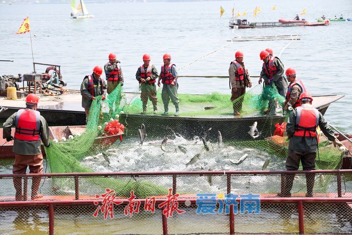 五一开渔庆丰年！2026首届济南·雪野湖开渔季启幕