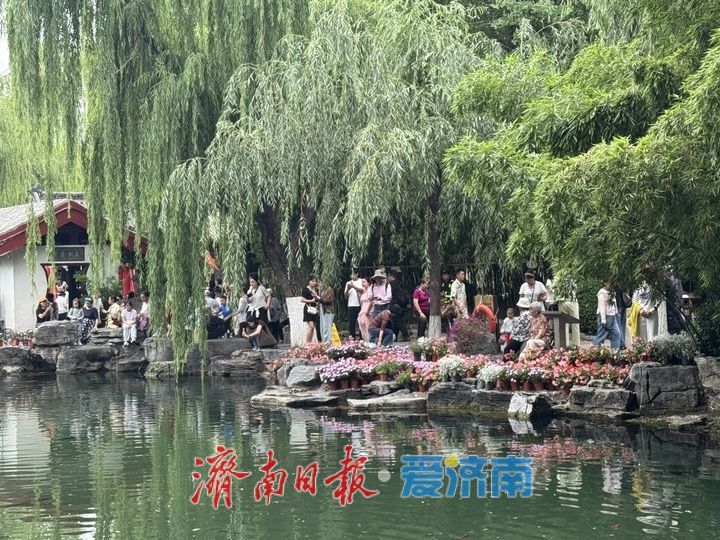 雨后泉韵浓 游客尽享赏泉时光