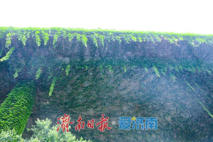雨润泉城高架路 都市“绿野仙踪”添诗意