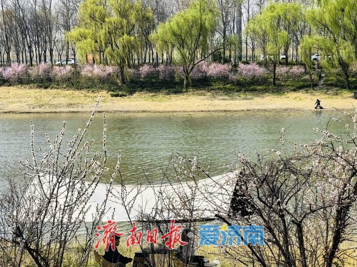 气温回暖春意浓 小清河畔踏青忙