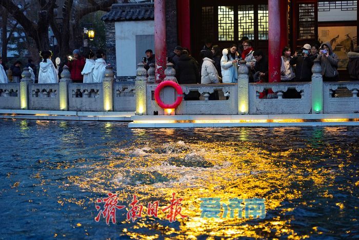 华灯初上，趵突泉漾起满池 “金花”醉游人