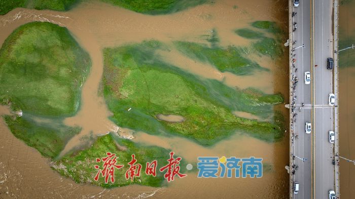 一年四季 泉在济南丨济南卧虎山水库南岸草坪成生态新名片