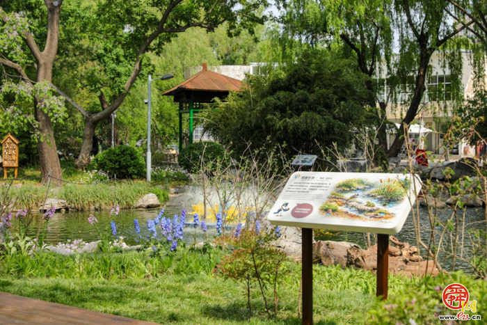 山东省第45届爱鸟周主题活动暨“生境花园”开园在泉城公园举行