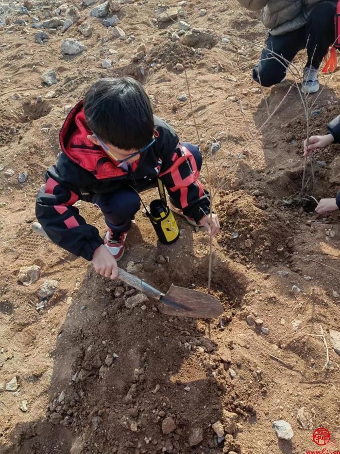 草长莺飞春意浓，义务植树赴青山——济南市莱芜第二实验小学三13中队开展义务植树活动