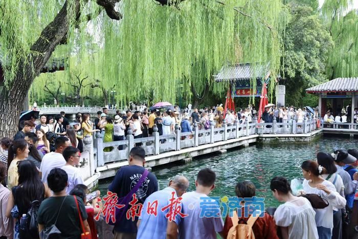 一年四季 泉在济南丨雨后趵突泉水位显著回升 高温天游客赏泉热情不减