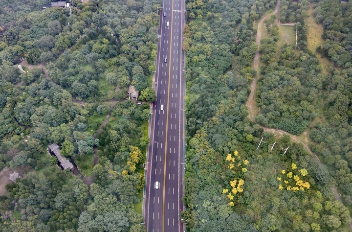 秋雾漫漫似丹青