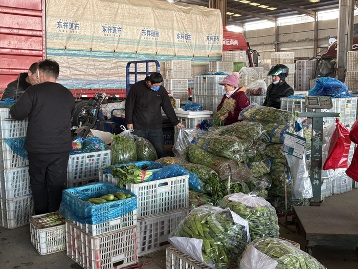 产量逐渐恢复，济南蔬菜价格环比下降6.7%