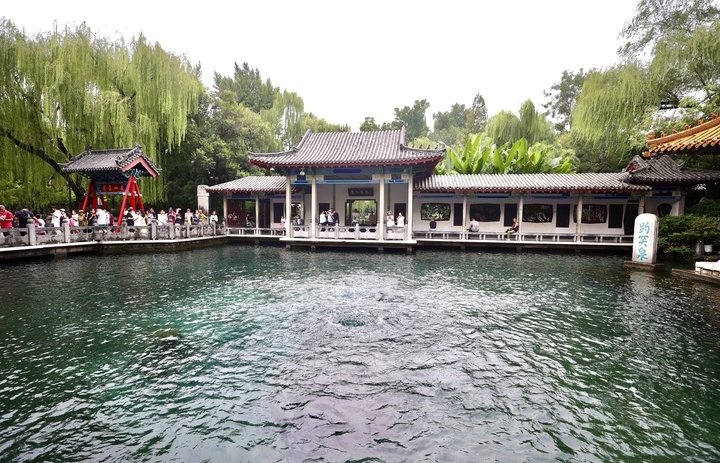 “泉”在济南过暑假 