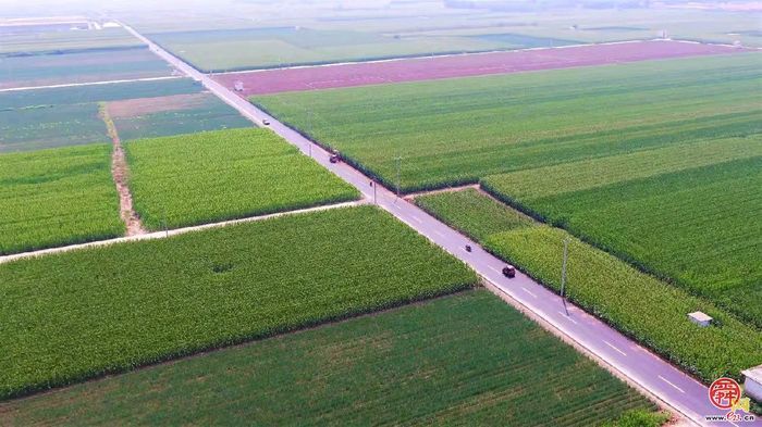 听，加压奋进的新乐章在章丘奏响！