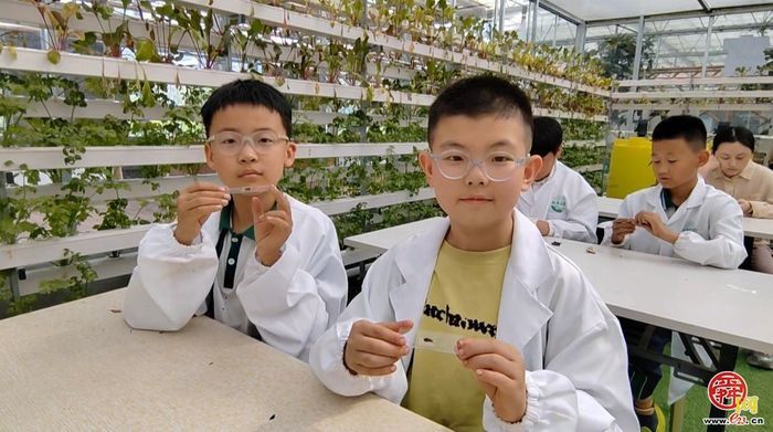 脚下踩泥土 心中藏成长——济南市天桥区枫景小学开启“‘玉’见小美好 节约大行动”主题实践课程