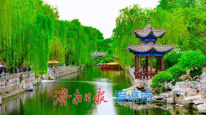 一年四季 泉在济南丨一泉一市一春日！黑虎泉畔水墨韵 花朝荟里烟火情