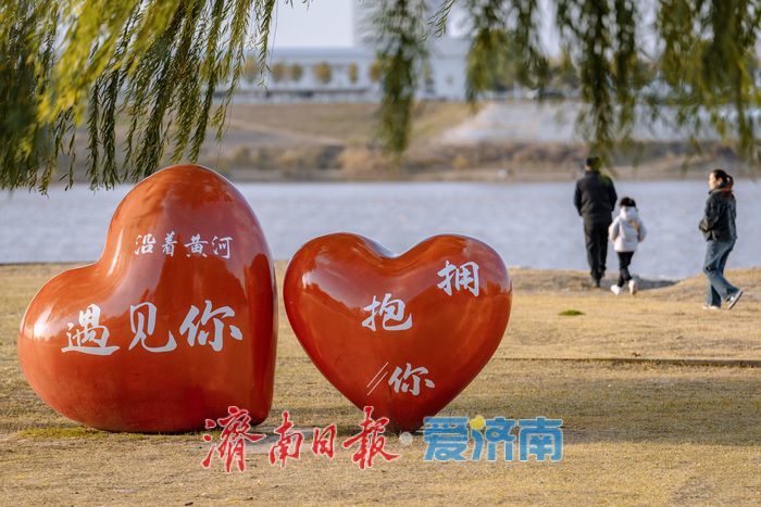 济南黄河南岸初冬：生态韵致绵长，冬景诗意斐然