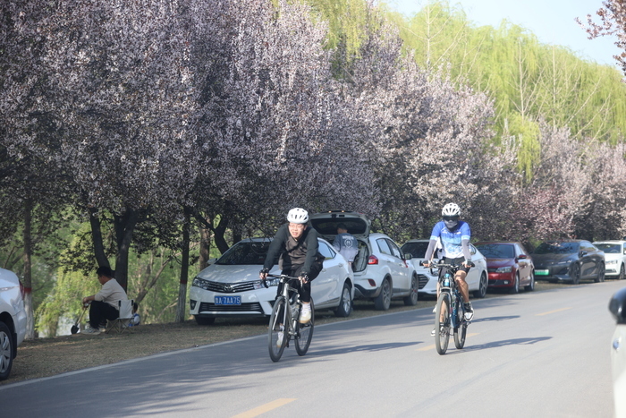 “安营扎寨”踏青济南黄河大堤，乐享春日周末时光