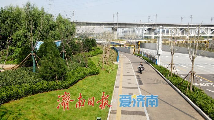 奥体西路北延绿化项目建设竣工