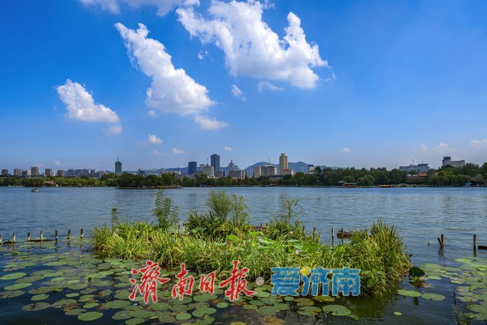 一年四季 泉在济南丨泉城消夏图鉴：大明湖成市民游客纳凉赏景“心头好”
