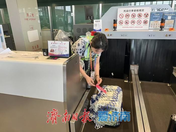 带着毛孩子去旅行！东航“宠物进客舱”服务在济南正式上线