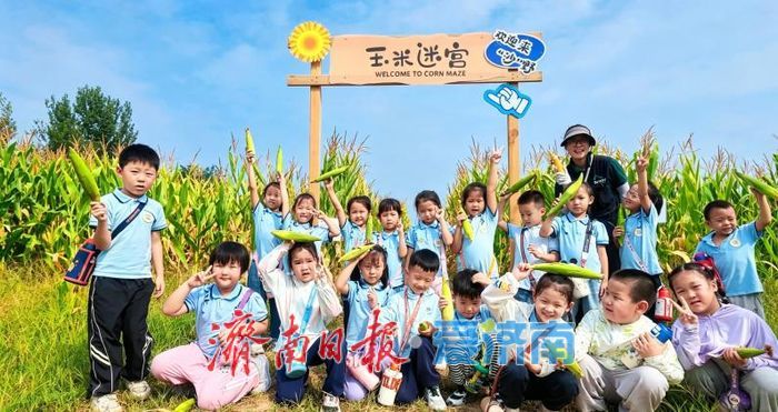 轨交通田园，稻浪作课堂 曲家乡村TOD金秋研学正当时