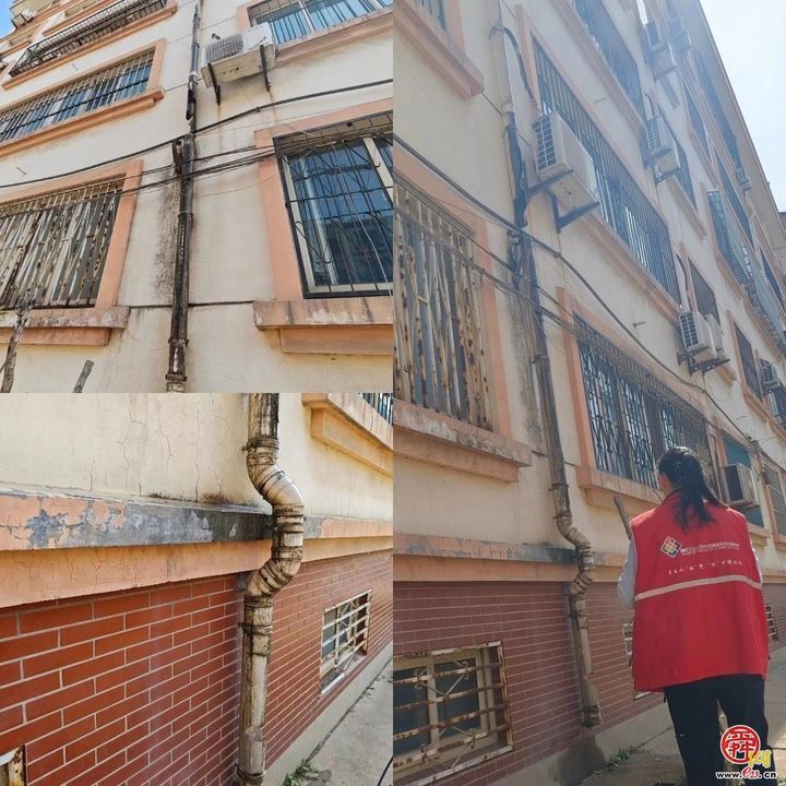 小网格彰显大担当 普集街道网格员:书写为民服务“全答卷”