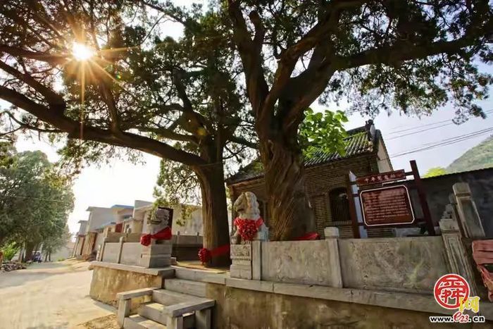 “这里是章丘！”——文祖篇