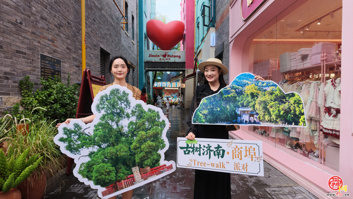 创新潮范足！“古树济南·商埠‘Tree-walk’派对”大型文化活动落幕