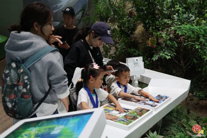 一年四季 泉在济南｜