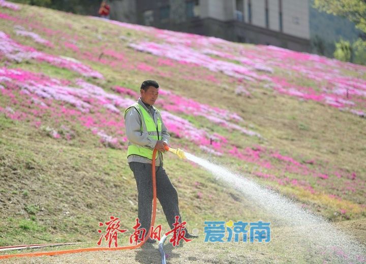 假期最后一天，济南这些地方不要错过！