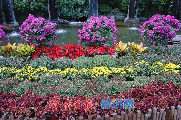 漫步五龙潭 赏阅泉城秋日画卷