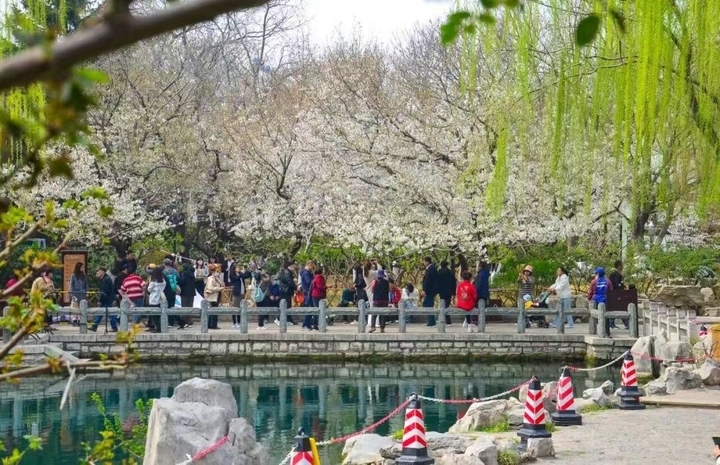 泉在济南过五一丨50余项活动，济南春日踏青出游指南发布！