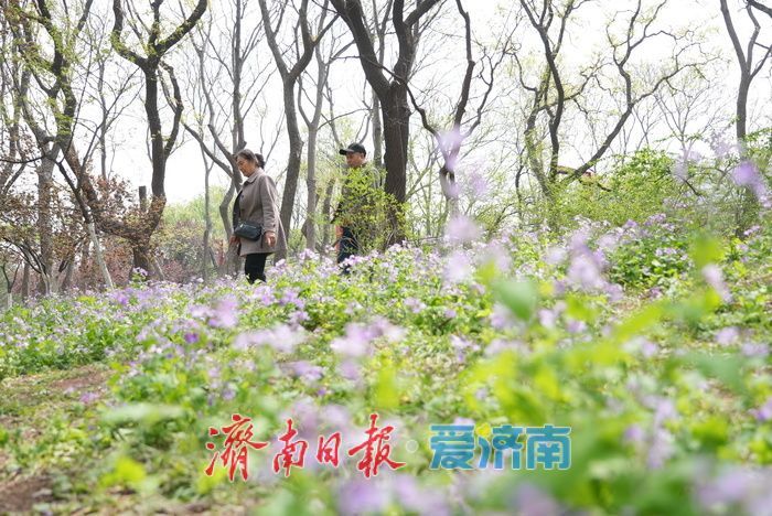 暖阳升温，市民畅享户外好时光