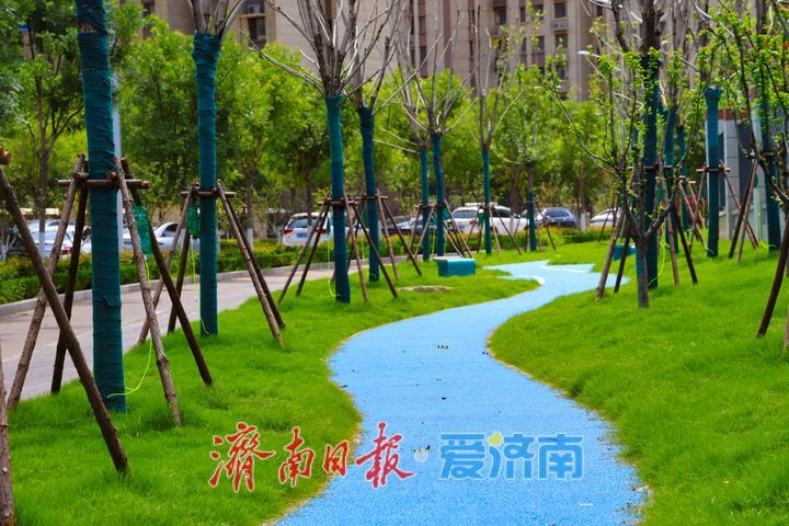 推窗见绿 出门入园 历下区再添民生休闲绿地
