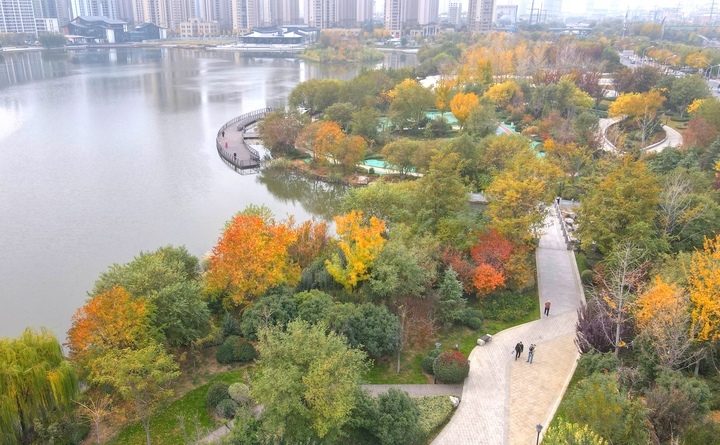 济南“北湖”初冬时节显秋色