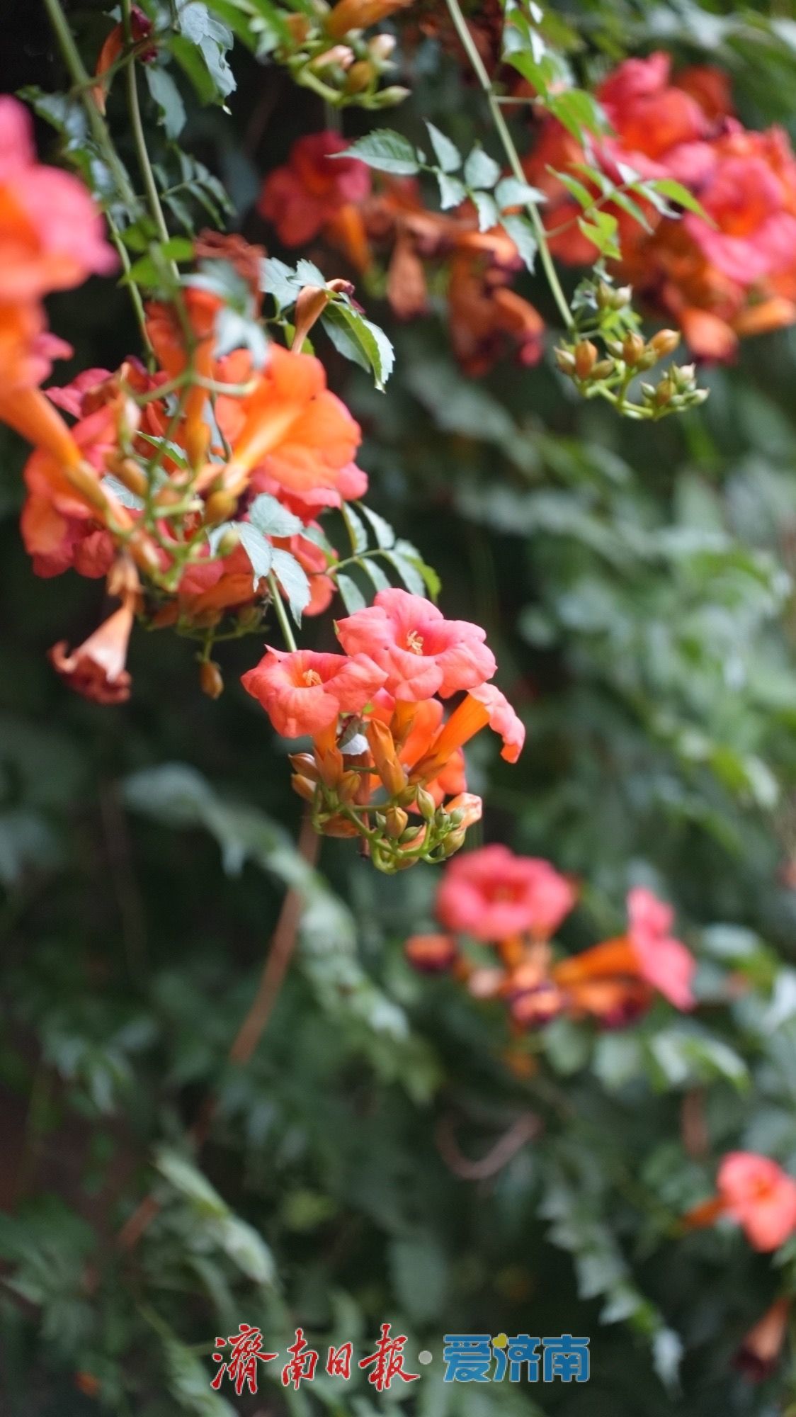 一年四季 泉在济南 