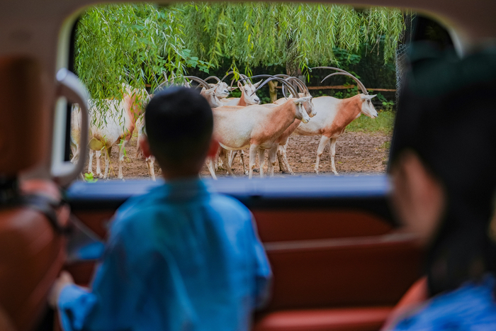 全省旅游景区强基焕新案例名单，济南这些入选