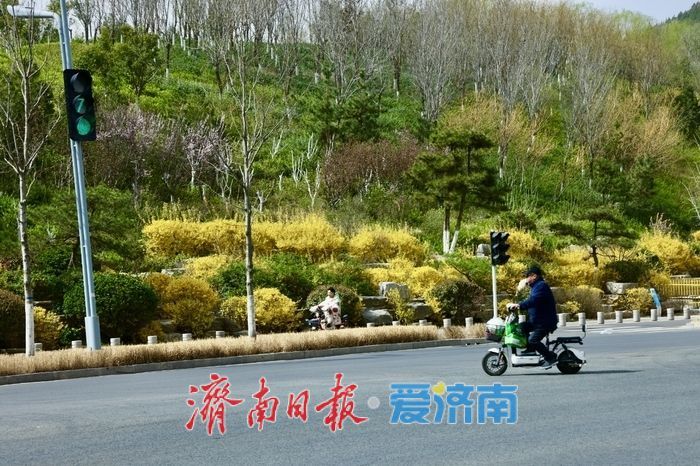 济南CBD茂岭山山体公园春花烂漫，绘就城市春日盛景