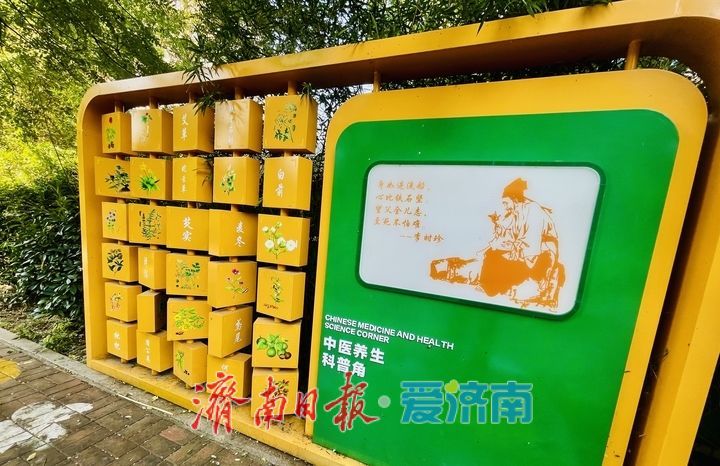 方寸间的户外中医课堂