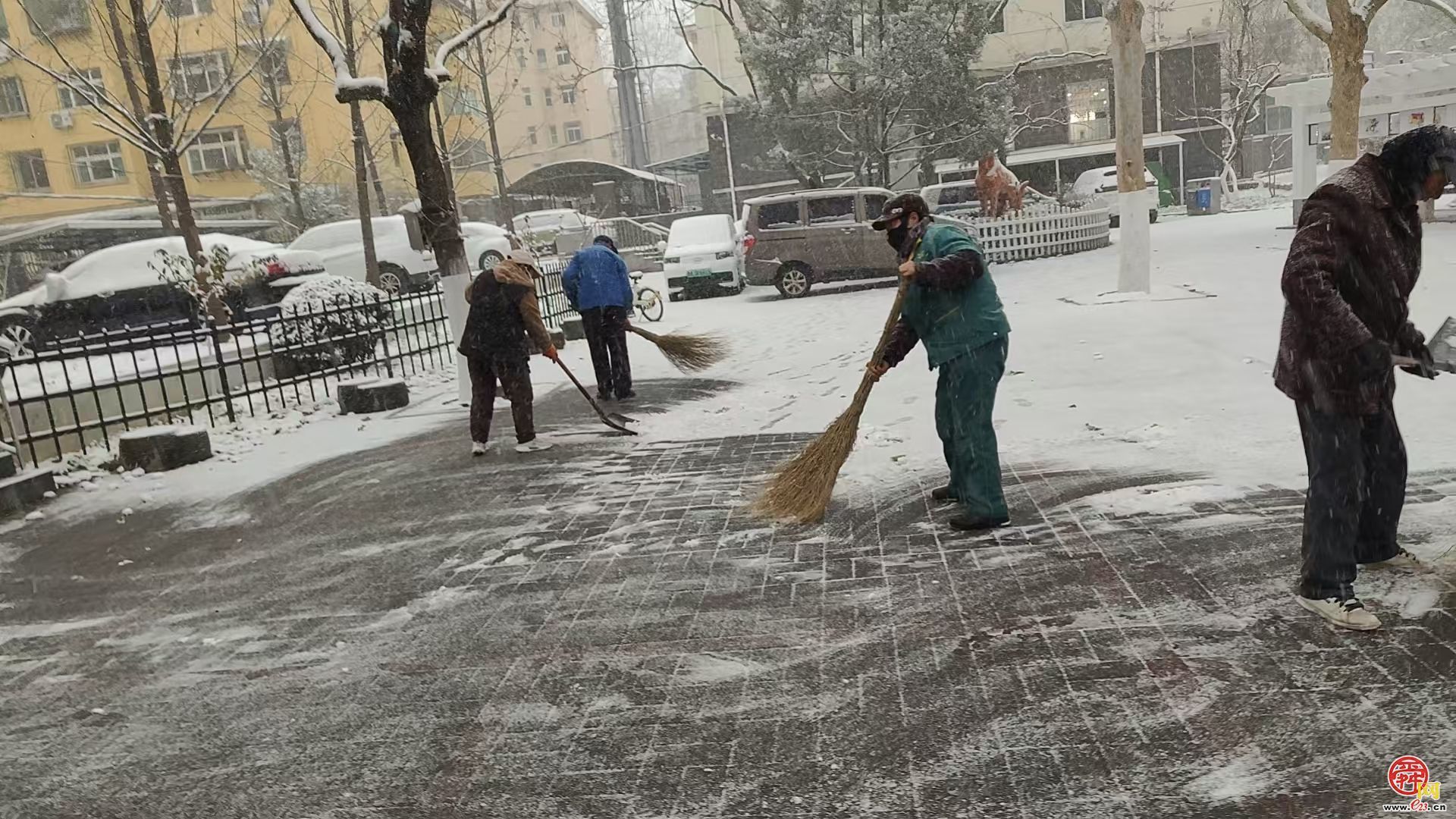 济南园林和林业绿化系统积极应对寒潮雨雪天气