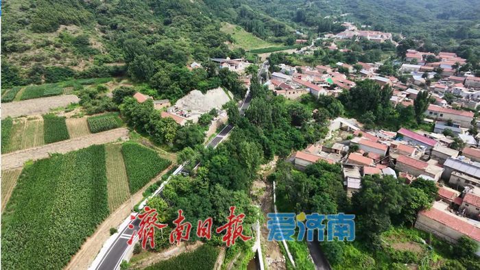 “防汛不是等雨来了才动手”——章丘麦腰村的防汛故事