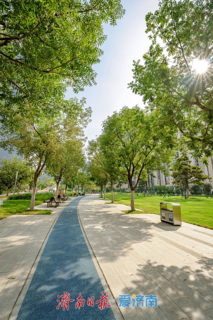 一年四季 泉在济南丨济南绸带公园：都市里的生态休闲乐园