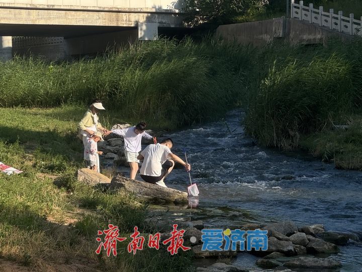 高温周末寻清凉 龙鼎滨水公园成市民戏水好去处