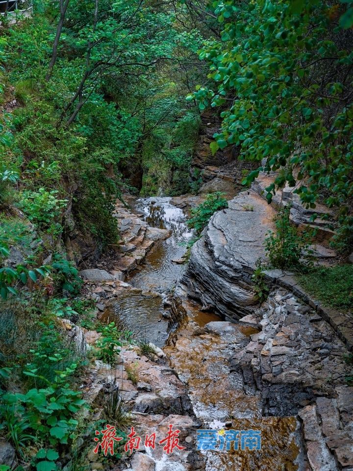 济潍高速1小时直达，解锁淄博版“绿野仙踪”