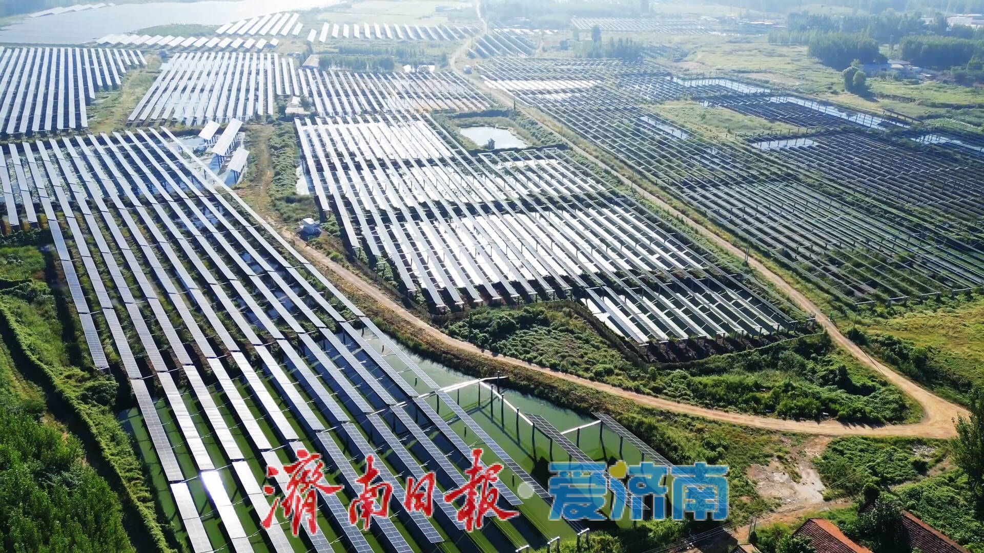 济南首个渔光互补项目迎丰收 大闸蟹产品已陆续上市