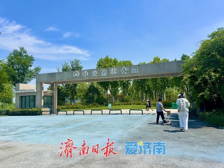 蝉鸣悠长 清风送爽 济钢中央森林公园成市民周末休闲好去处