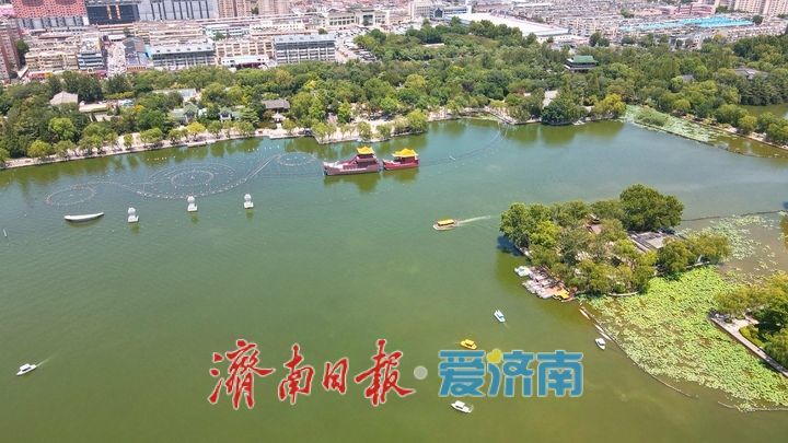 一年四季 泉在济南丨水光潋滟晴方好，“夏至”明湖满目翠